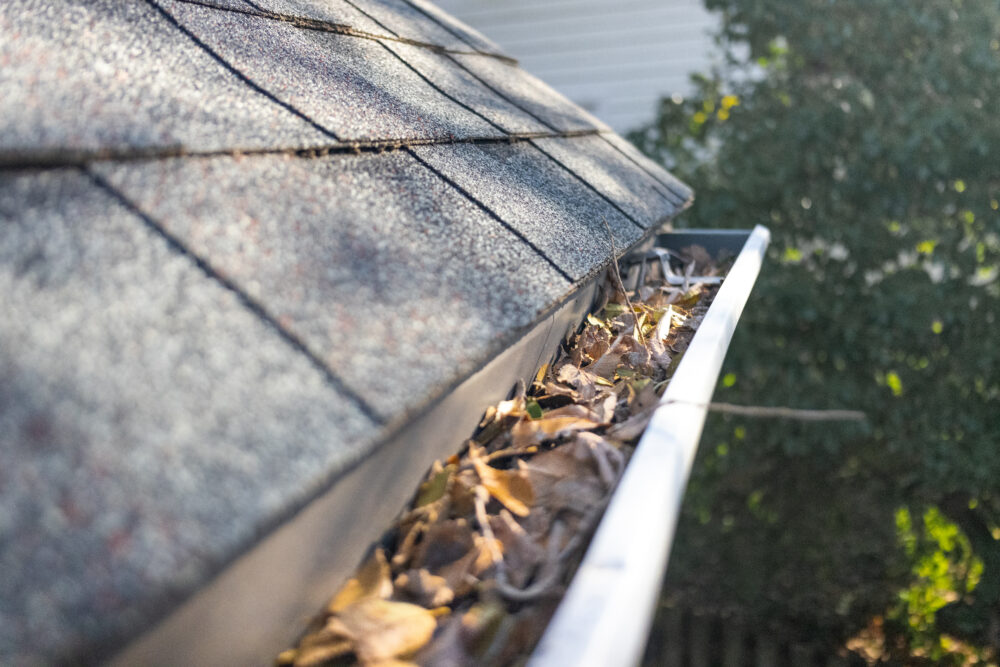 A gutter filled with debris in Roseville, CA