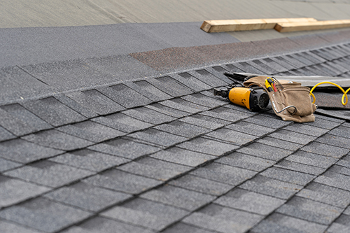 Does Moss Cause Problems With Asphalt, Shingle, and Tile Roofs?