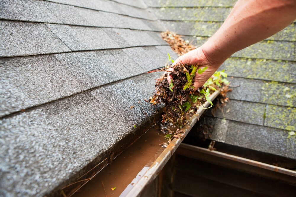 A man is clearing out leaves and debris from a gutter.
